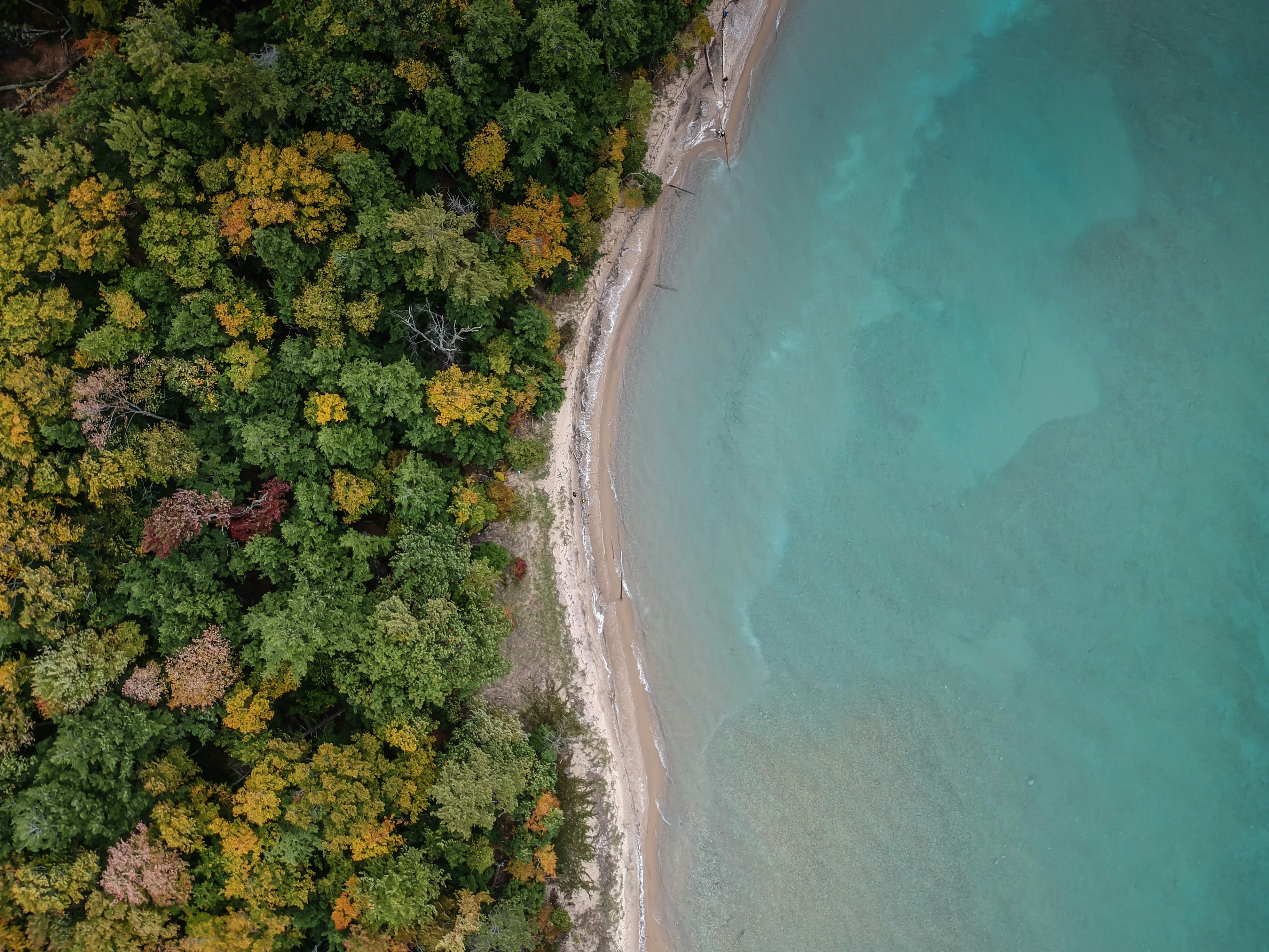 Coastal Landscape